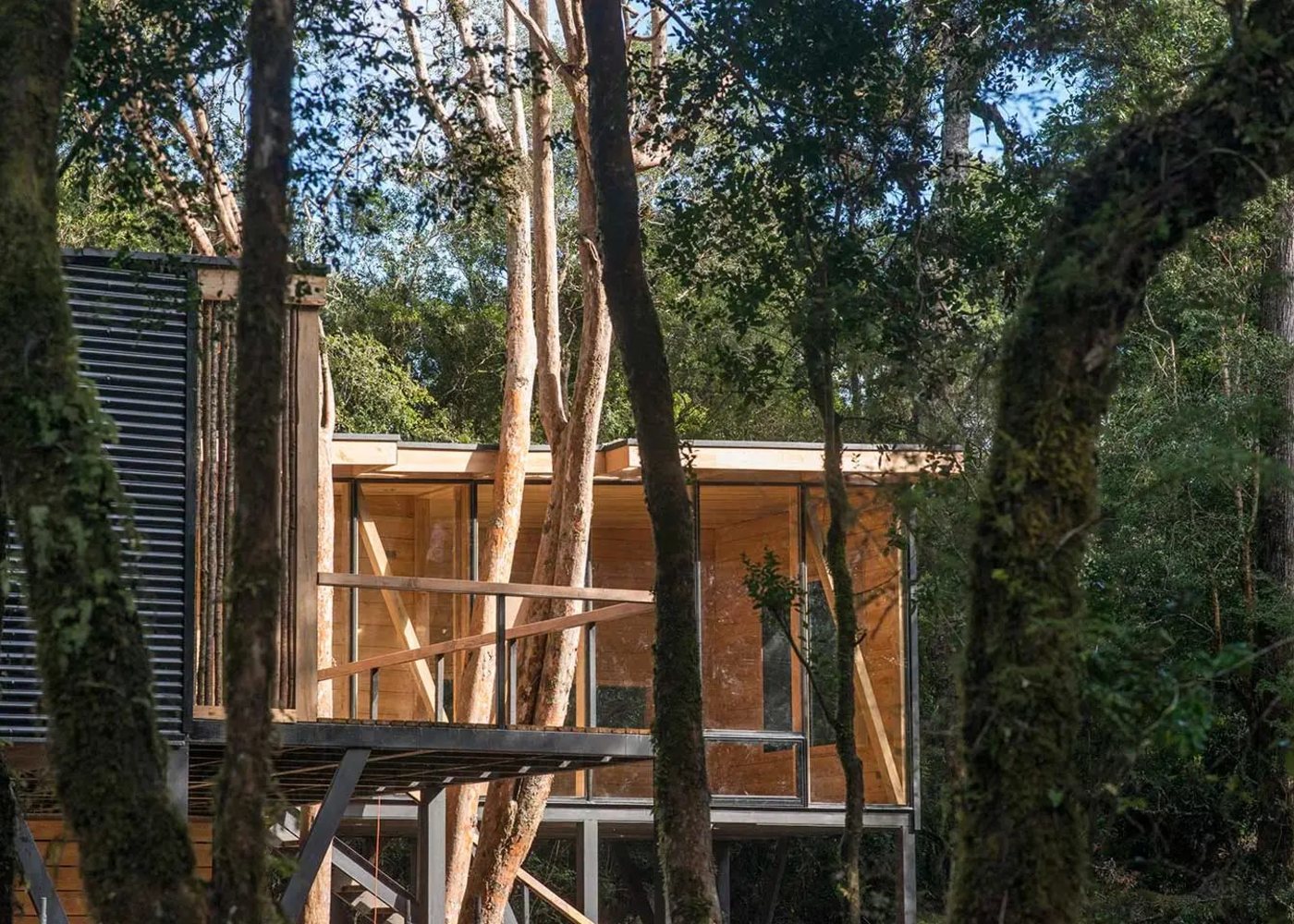 Obra entre árboles, diseño pasivo